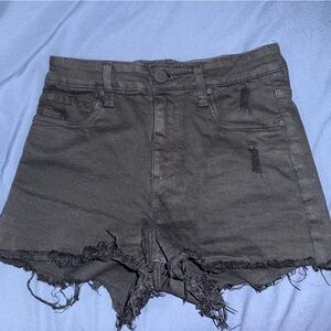 KUT from the Kloth Jane High Rise Short- Black